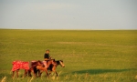 呼伦贝尔草原—将参赛的牧民